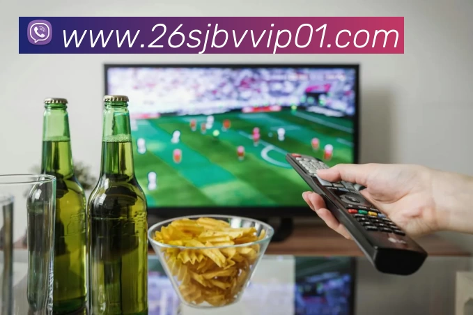 2026世界杯官网入口APP 封面图